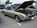 Filename=DSC07958.JPG
Filesize=609KiB
Dimensions=1280x960
Date added=Apr 15, 2017 DSC07958.JPG