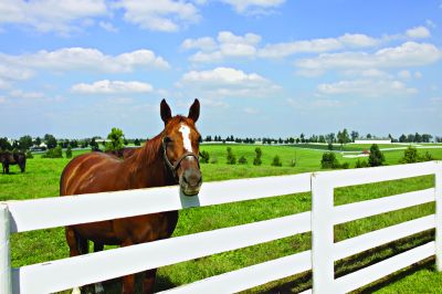 Surrounding Lexinton Farms
