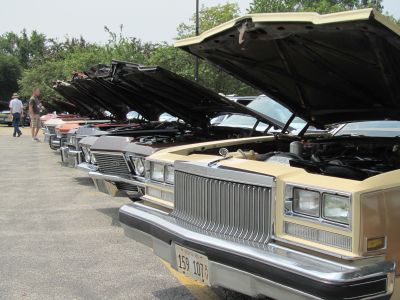 Lined up for Judging
