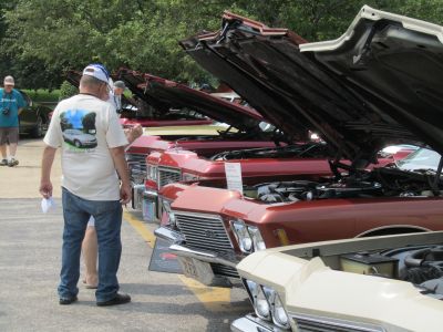 Lined up for Judging

