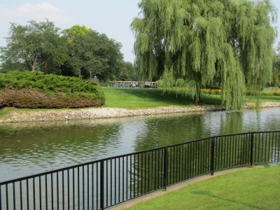 The lake at our host hotel
