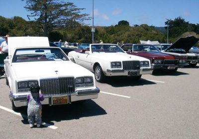 Car Show
