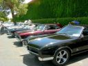 Filename=DSCN1013.JPG
Filesize=1012KiB
Dimensions=1600x1200
Date added=May 21, 2017 DSCN1013.JPG