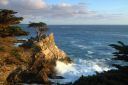 Filename=Lone_cypress_2.jpg
Filesize=162KiB
Dimensions=800x534
Date added=Apr 07, 2017 Lone_cypress_2.jpg
