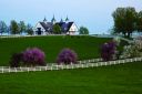 Manchester_Farm_SHYZ_tlhR2MgQ0OH1SAhwXu18q0ABlZBh_cmyk_s.jpg