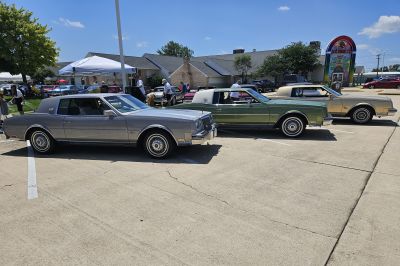The Sixth Generation “Lined-Up” for the Show
