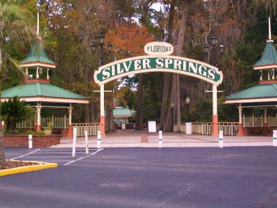 Ocala attractions … Silver Springs
